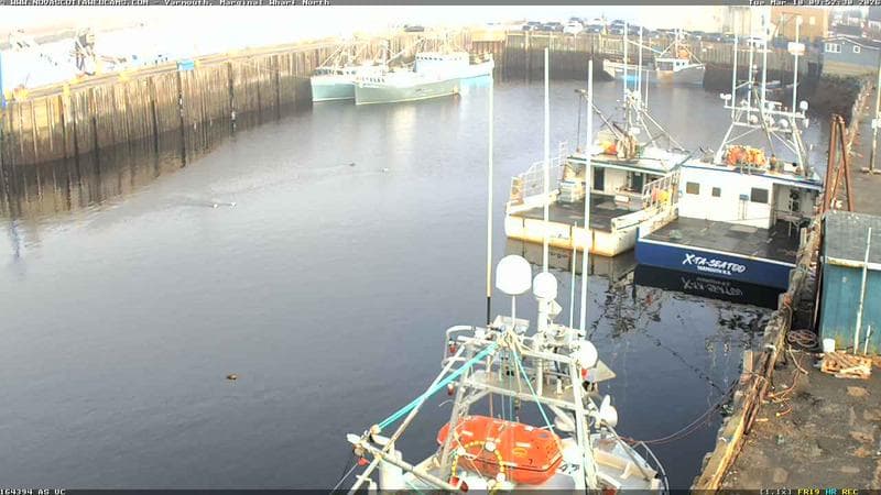 Marginal Wharf North