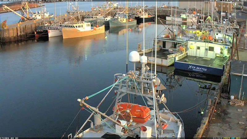 Marginal Wharf North