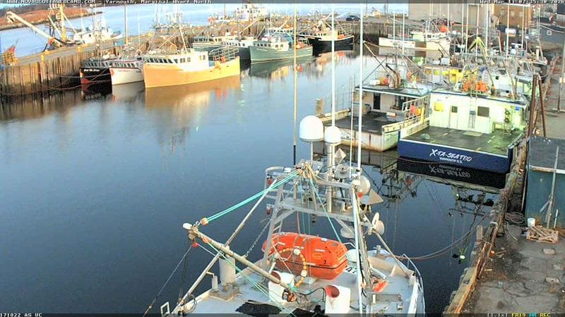 Marginal Wharf North