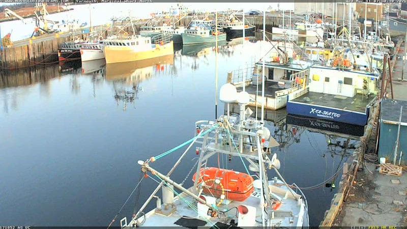 Marginal Wharf North