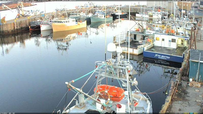 Marginal Wharf North