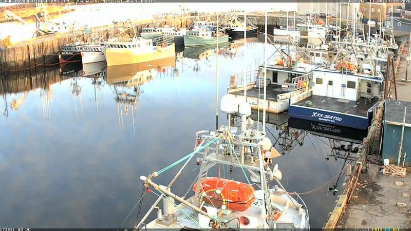 Marginal Wharf North