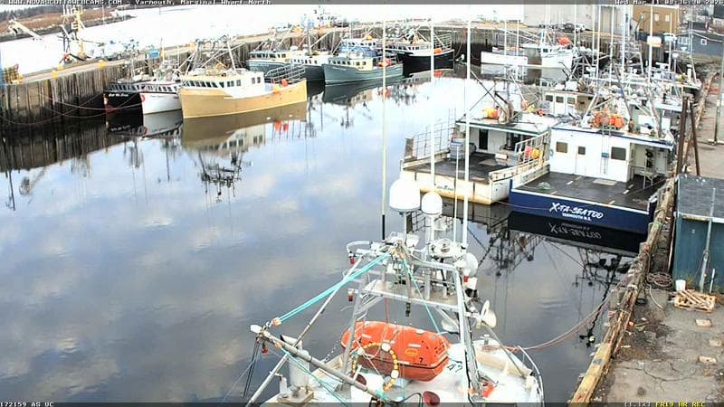 Marginal Wharf North