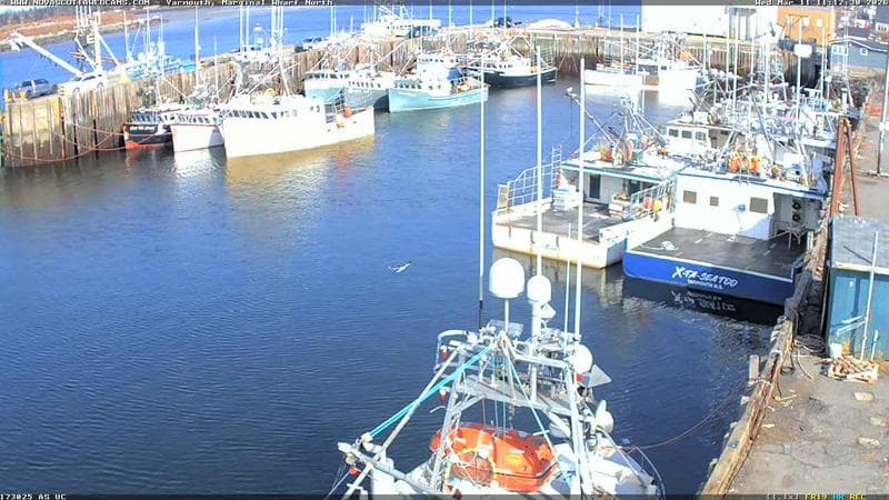 Marginal Wharf North