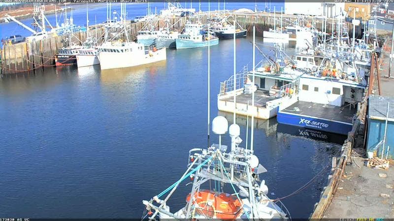 Marginal Wharf North