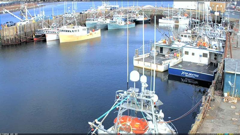 Marginal Wharf North