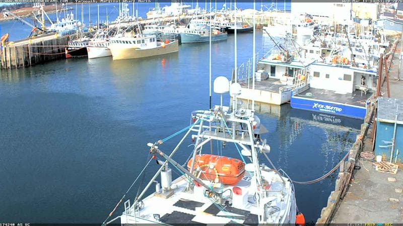 Marginal Wharf North