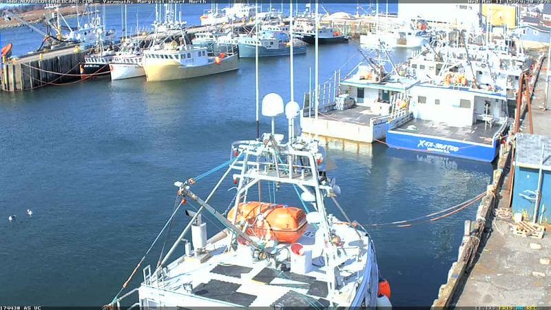 Marginal Wharf North