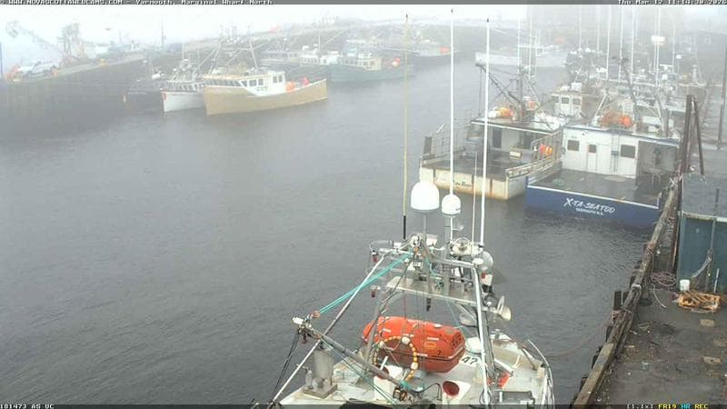 Marginal Wharf North