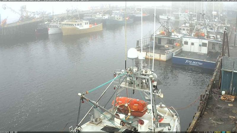 Marginal Wharf North