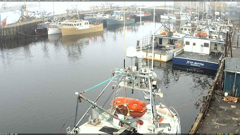 Marginal Wharf North