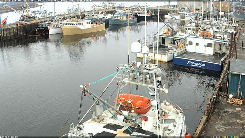 Marginal Wharf North