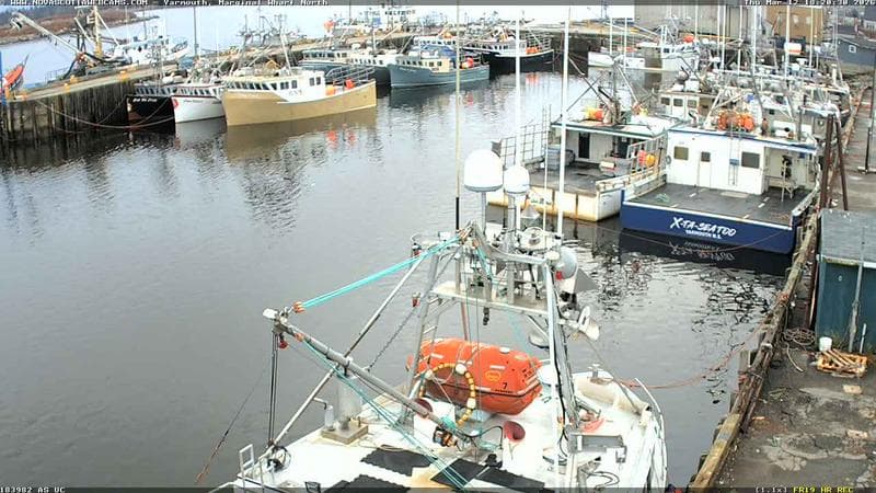 Marginal Wharf North