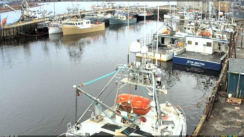 Marginal Wharf North