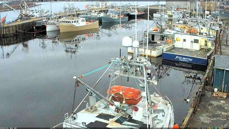 Marginal Wharf North