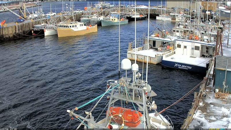 Marginal Wharf North