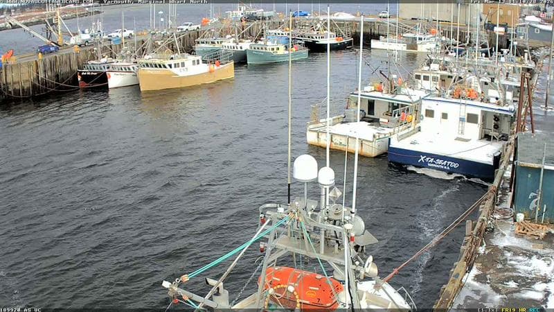 Marginal Wharf North