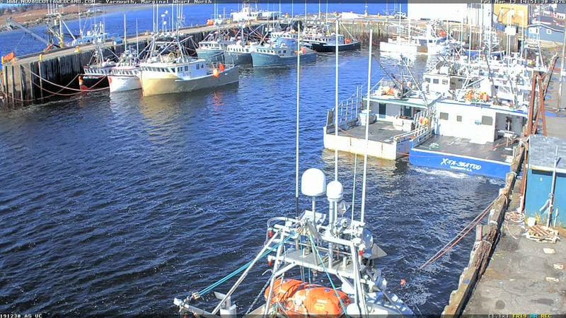 Marginal Wharf North