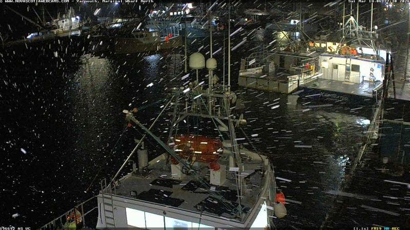 Marginal Wharf North