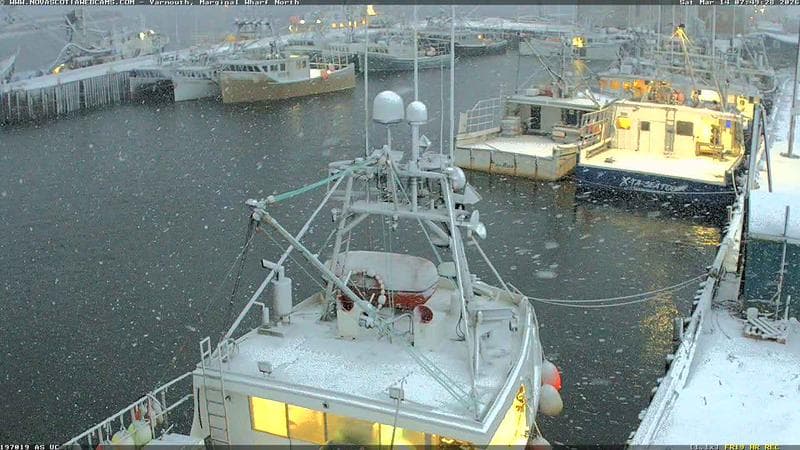 Marginal Wharf North