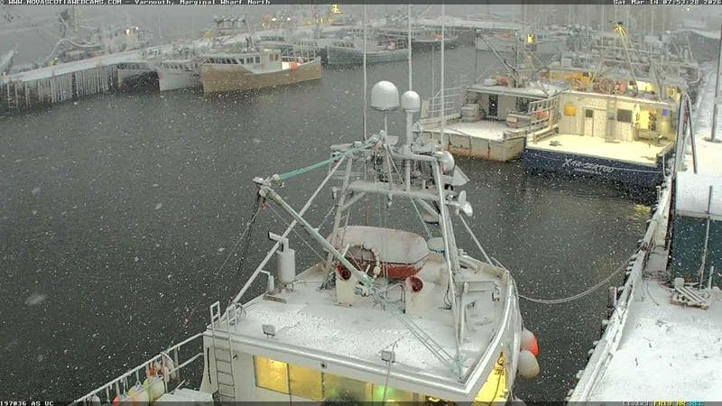 Marginal Wharf North