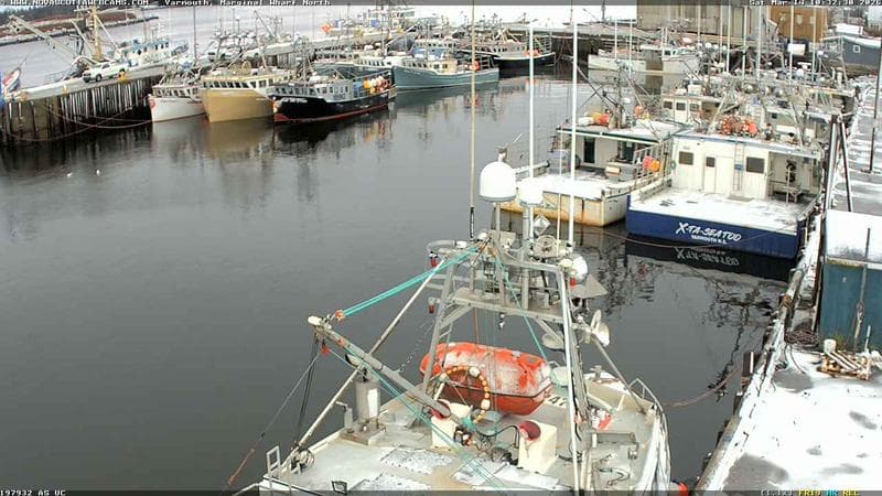 Marginal Wharf North