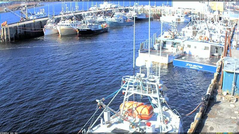 Marginal Wharf North