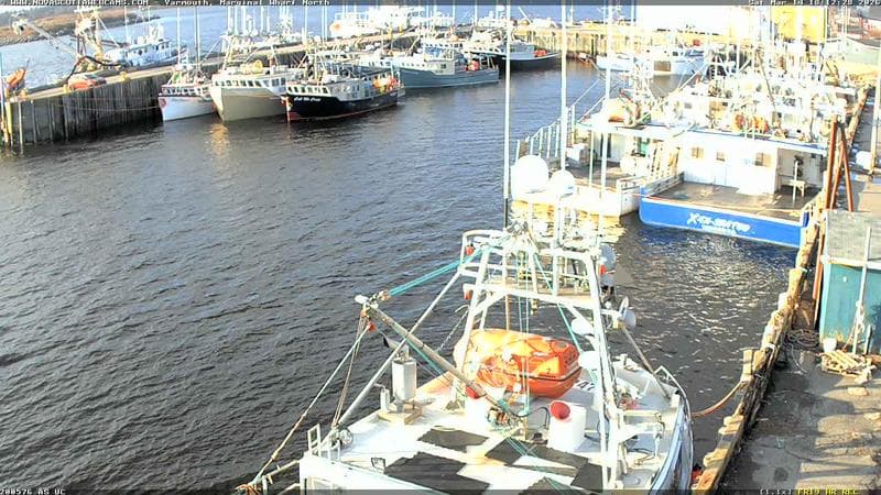 Marginal Wharf North