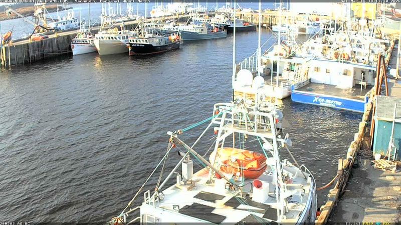 Marginal Wharf North