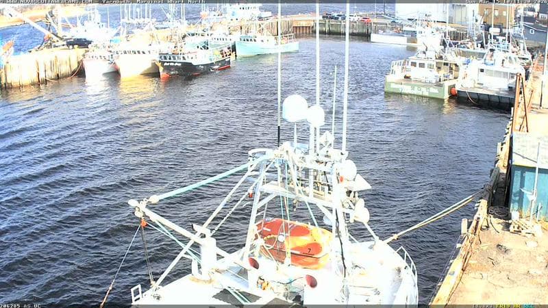 Marginal Wharf North