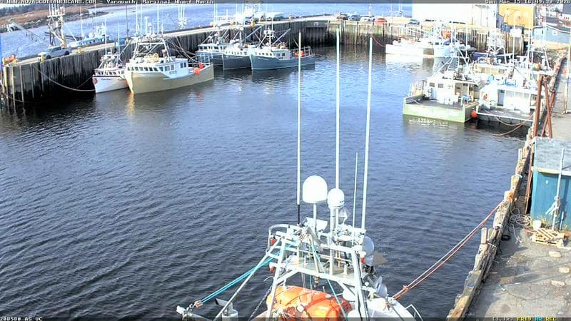 Marginal Wharf North