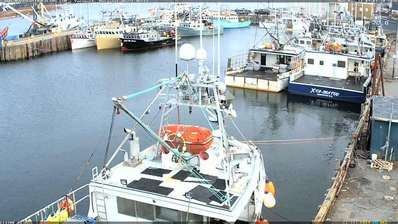 Marginal Wharf North