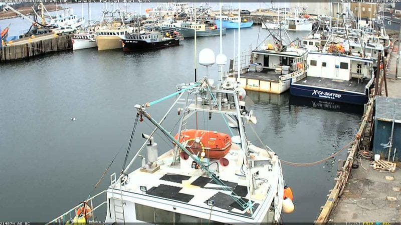 Marginal Wharf North