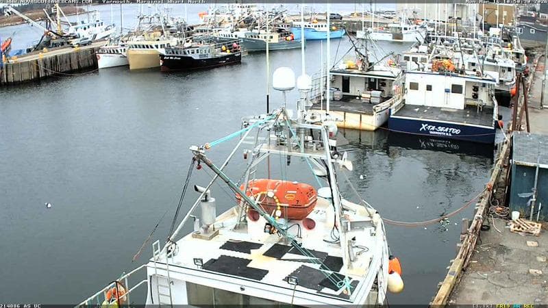 Marginal Wharf North