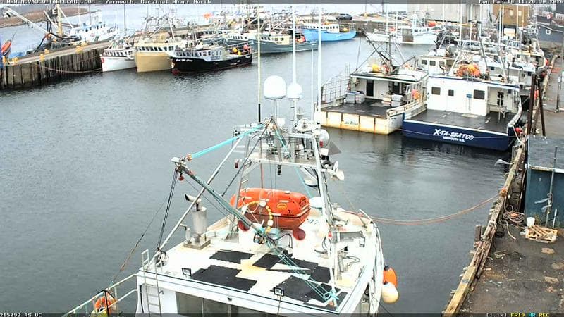 Marginal Wharf North