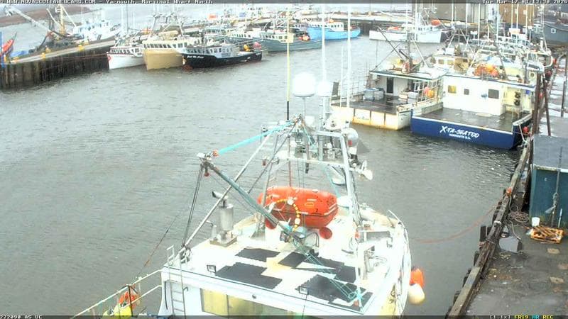 Marginal Wharf North