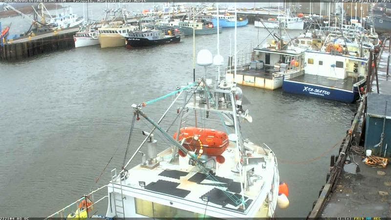 Marginal Wharf North