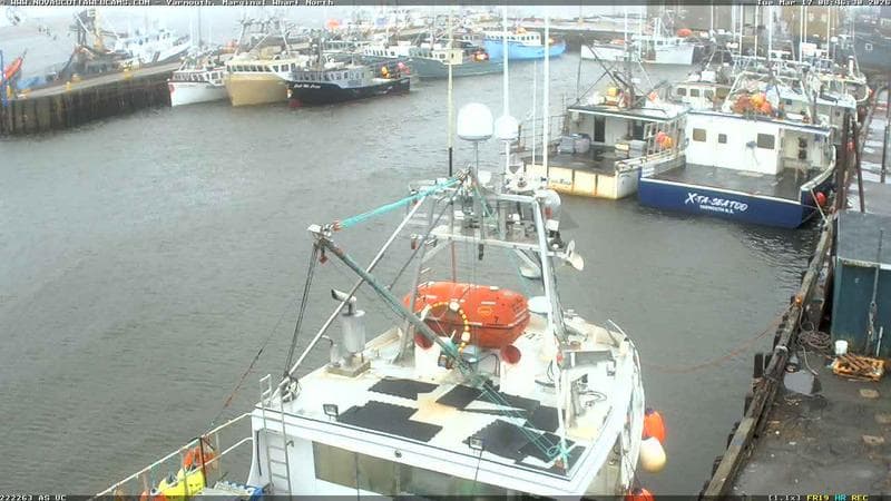 Marginal Wharf North