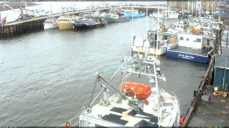 Marginal Wharf North