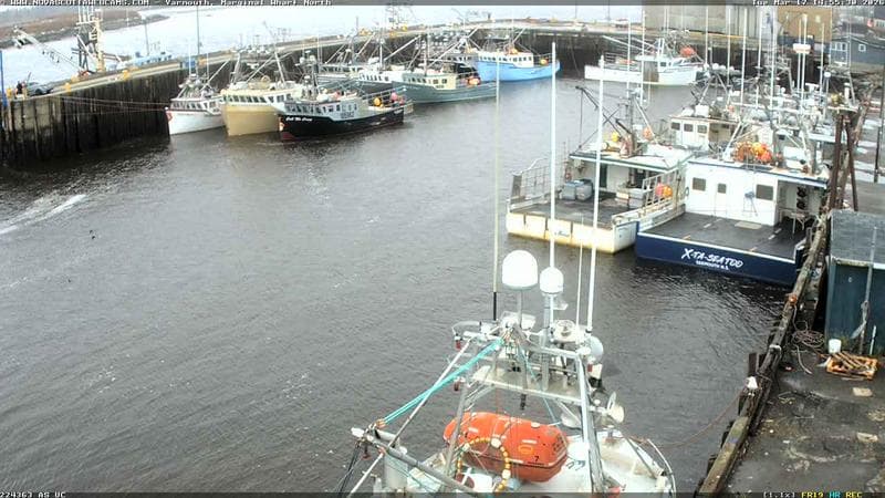 Marginal Wharf North