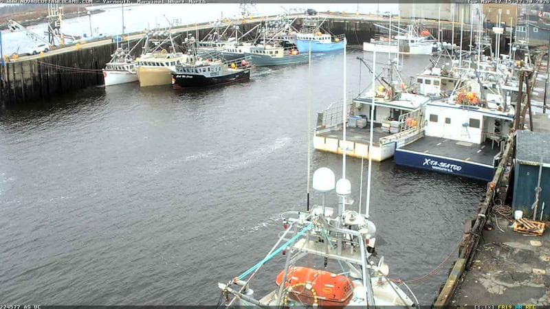 Marginal Wharf North