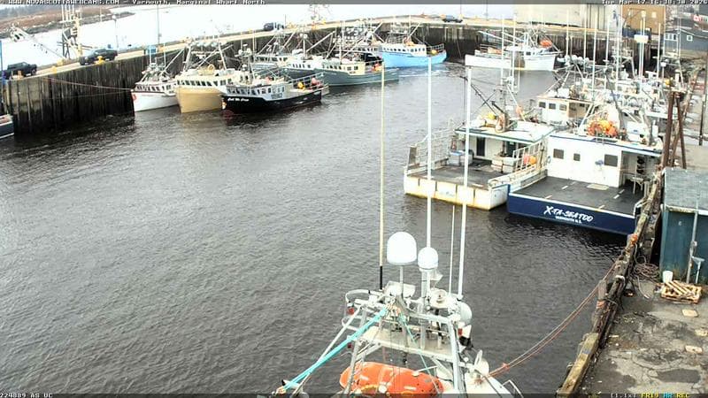 Marginal Wharf North