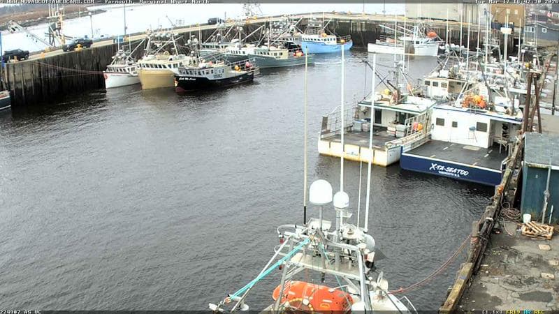 Marginal Wharf North