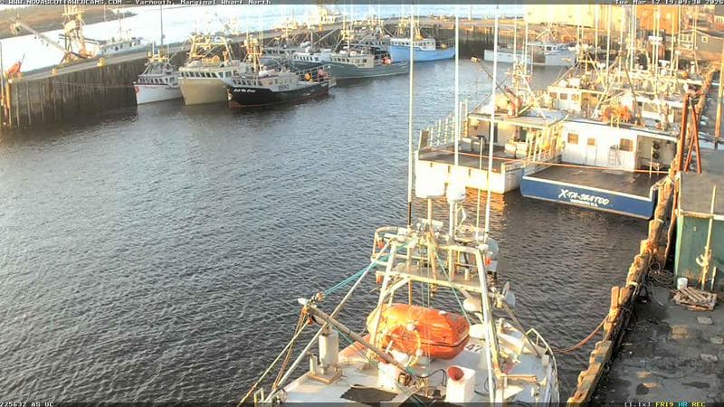 Marginal Wharf North