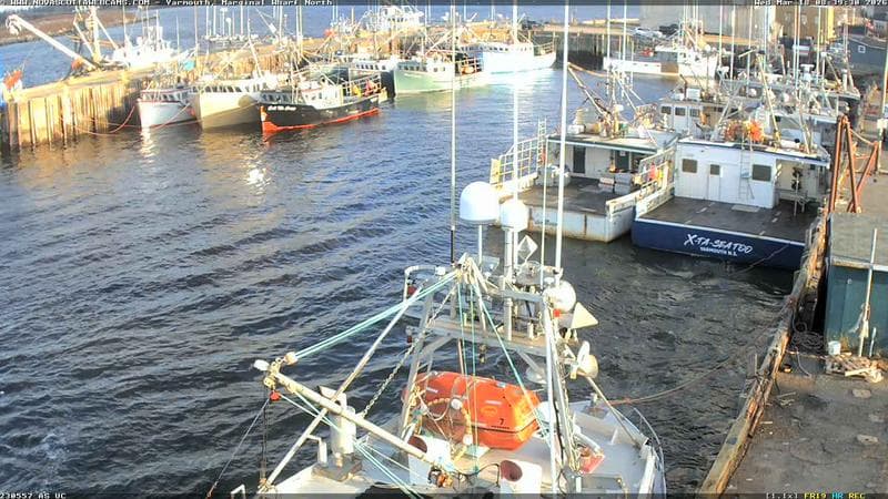 Marginal Wharf North