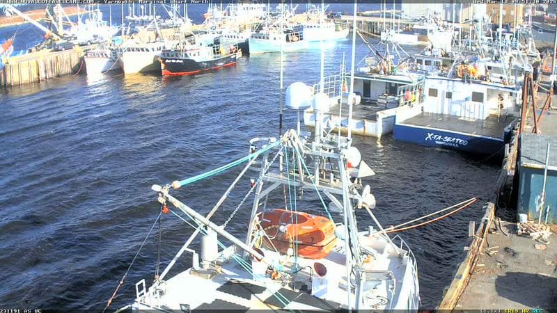 Marginal Wharf North