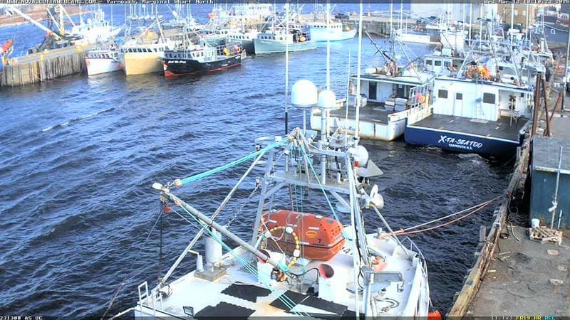 Marginal Wharf North