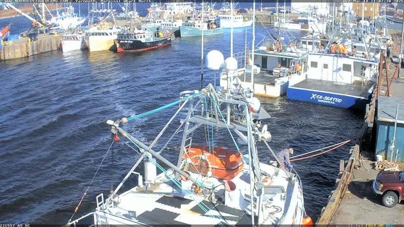 Marginal Wharf North