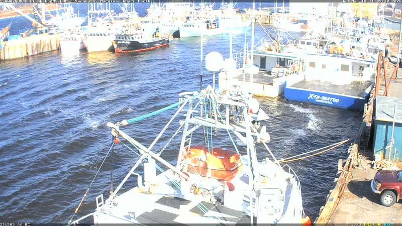 Marginal Wharf North