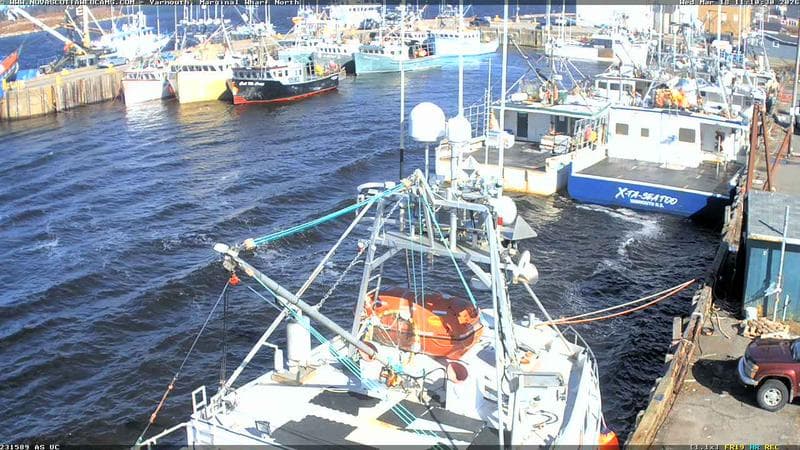 Marginal Wharf North